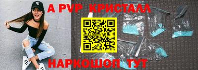стафф Камышлов
