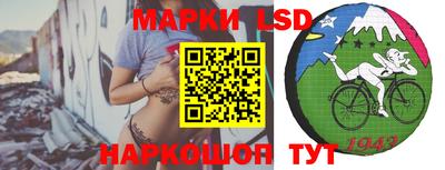 стафф Камышлов