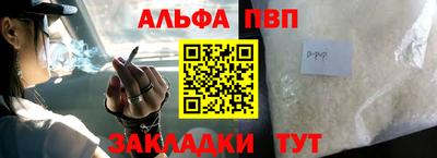 стафф Камышлов