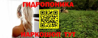 прущая мука Кандалакша